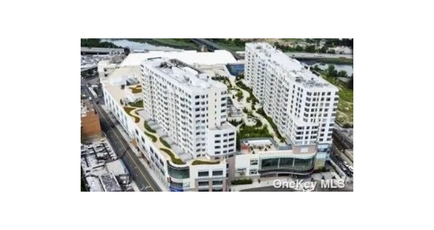 Claire W  Tso Queens