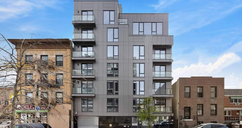 Shirley  Yang Queens