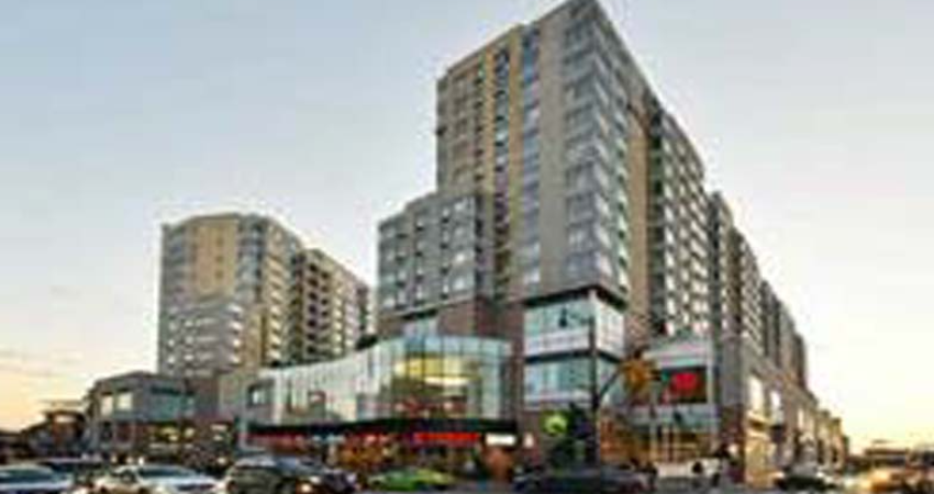 Amanda  Zambrzycki Queens